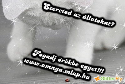 i4lgj7t2w4.gif i4lgj7t2w4.gif